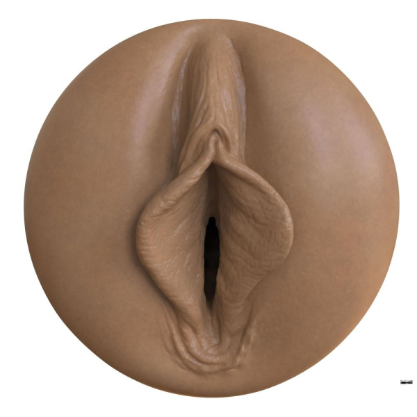 Мастурбатор-вагина Fleshlight Boost Bang Medium Dark Flesh, плавающие кольца Turbo Tech